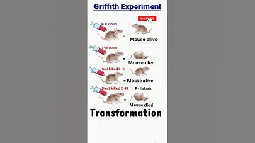 griffith experiment | transforming Principle | transformation | dna as genetic material