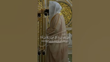 ما تيسر من سورة القصص | تلاوة فضيلة الشيخ د.#عبدالله_القرافي