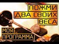 Программа на ЖИМ ЛЕЖА: Мастер Спорта на изи.