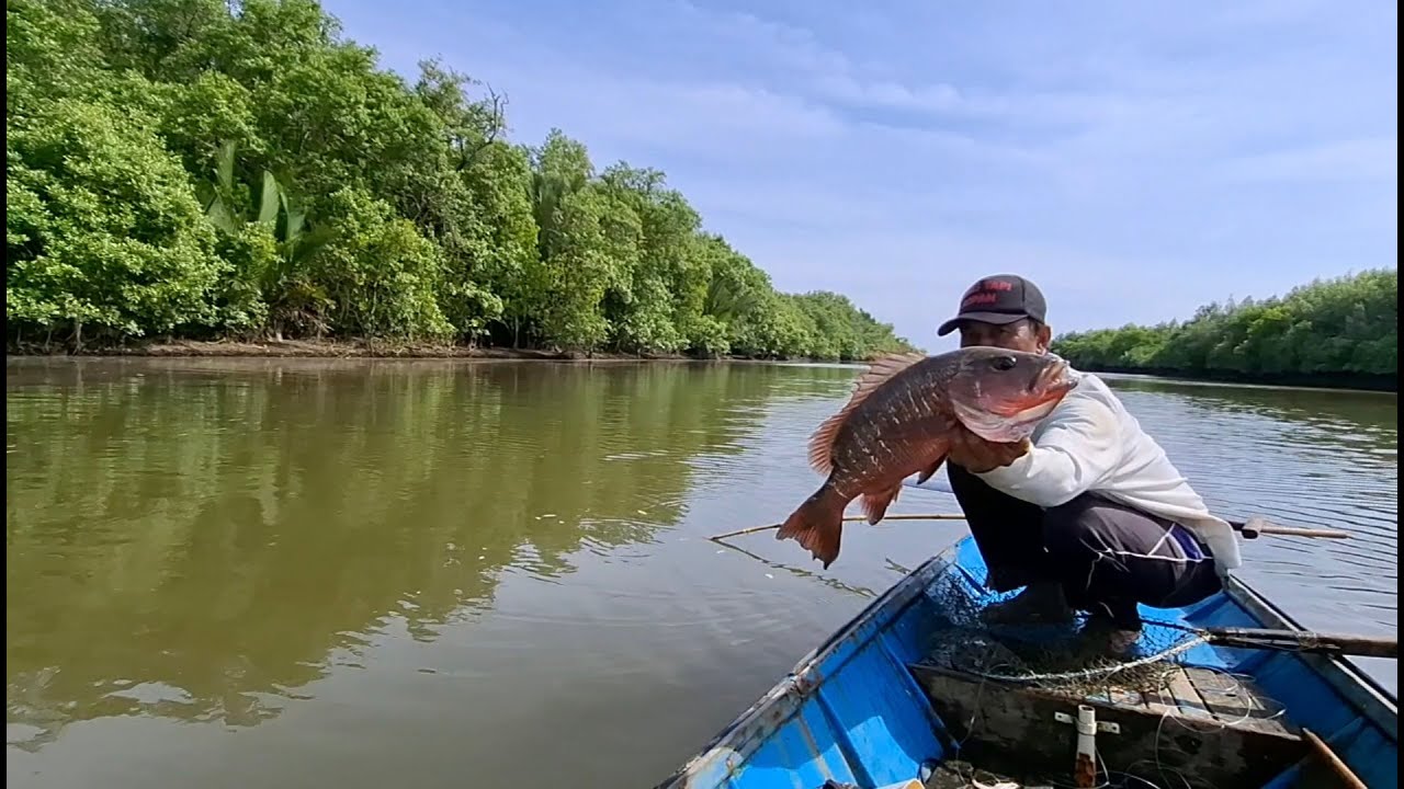 Alhamdulillah..Setelah air naik pasang bertubi-tubi sambaran berbagai jenis ikan