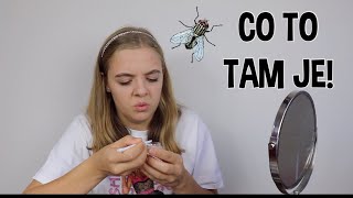 Testuji makeup z hračkárny /LEA