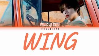 PARK JI HOON (박지훈) - WING (윙) (Color Coded Lyrics Eng/Rom/Han/가사)