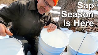 I Tapped My Maple Trees
Tapping my sugar maples to make maple syrup Get my Email News: https://www.gardenfork.tv/email/
DIY Dog Fence (affiliate link) https://www.amazon.com/shop/gardenfork/list/2WJSOFF1UVK0L?ref cm_sw_r_cp_ud_aipsflist_aipsfgardenfork_XSC0NRRTV1A89Z0P8EWT
Get Behind The Scenes photos and the After Show podcast Become a GF patron: https://patreon.com/gardenfork
GF Shirts Sweaters & More https://teespring.com/stores/gardenfork-2
iTunes GF Radio podcast: https://goo.gl/4CCenA
Instagram: http://instagram.com/gardenfork
Facebook Discussion Group https://www.facebook.com/groups/1692616594342396/
Facebook Page: http://facebook.com/gardenfork
Pinterest: http://pinterest.com/gardenforktv/
More great DIY, Cooking, Gardening, Home Improvement, Urban Homesteading videos and info on our site: http://GardenFork.TV
Amazon and some other links are affiliate links, we get a small finders fee for referring purchasers to their sites. Its part of how we pay for producing GardenFork
Produced by GardenFork Media LLC, Brooklyn, NY ©2023 all rights reserved
No Editorial or Social Media Excerpts, Reaction Videos, Still Images or any use whatsoever anywhere in the universe without permission. Violators agree to pay at least $5,000 per instance per second or per still image per instance + $10 per view + all collection costs & lawyers fees, and agree to remove & delete all media containing GardenFork content that appears anywhere forever.
All embeds of any GardenFork YouTube video using YouTubes Embed Code must live link to www.GardenFork.TV or www.YouTube.com/GardenFork I Tapped My Maple Trees