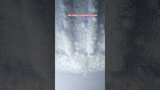 Its My First Time To See This 0