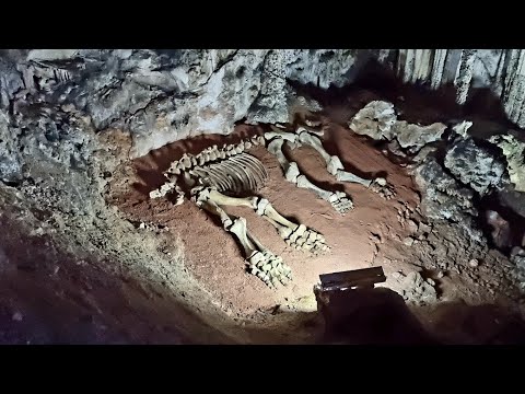 Video: In The Crimea, During The Construction Of The Tavrida Highway, They Found A Unique Cave With Mammoths - Alternative View