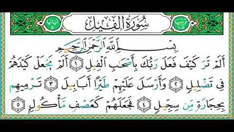 105- سورة الفيل | مصحف حفص | أيمن سويد