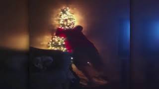 24 Christmas Tree Fails in Less Than 1 Minute1