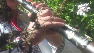 Video thumbnail of "Jaclin Duja - Hora Florilor (Video)"