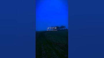 سورة آل عمران|| عبد الرحمن مسعد #قرآن #قران_كريم #explore