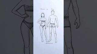 How To Draw A Body ✏️#Art #Artwork #Draw #Drawing #Anime #Cartoon #Sketch #Illustration #Satisfying