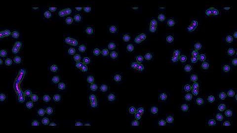 Gliders pushing orbs in a Cellular Automaton