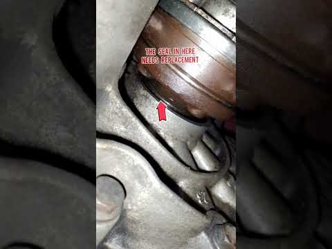 Gear oil Leak.Driveshaft