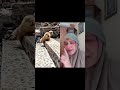 Funny #shortvideo #shorts