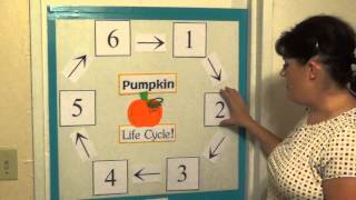 Pumpkin Life Cycle Bulletin Board Video