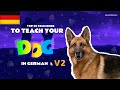 Teach Your Dog Commands In German (v2, corrected version) (20 Common Words)