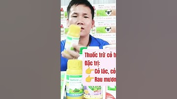 Thuốc trừ cỏ trên ruộng lúa sau khi xạ từ 8_30 ngày #colua