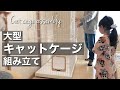 【Vlog】大型キャットケージを組み立てる1日…猫ちゃんも大きくなりました！