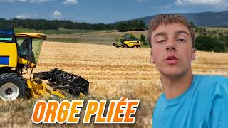 ÇA BOURRE AUX BENNES, DÉBUT DES ORGES !