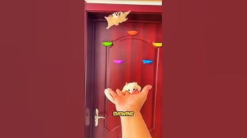 These Sugar Glider shows incredible Love 😍