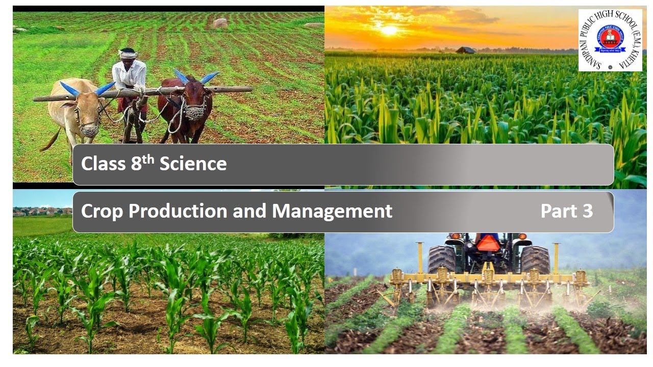 Class 8th Science Chapter1 Crop Production And Management Part3 YouTube