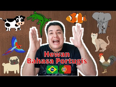 Belajar Bahasa Portugis 18 (Hewan)