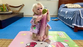 Super cute monkey Abi wants to help her mother make eggplant cake