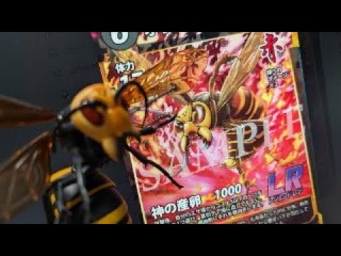 蟲神器第7弾 オオスズメバチ(女王)登場記念生配信 - YouTube