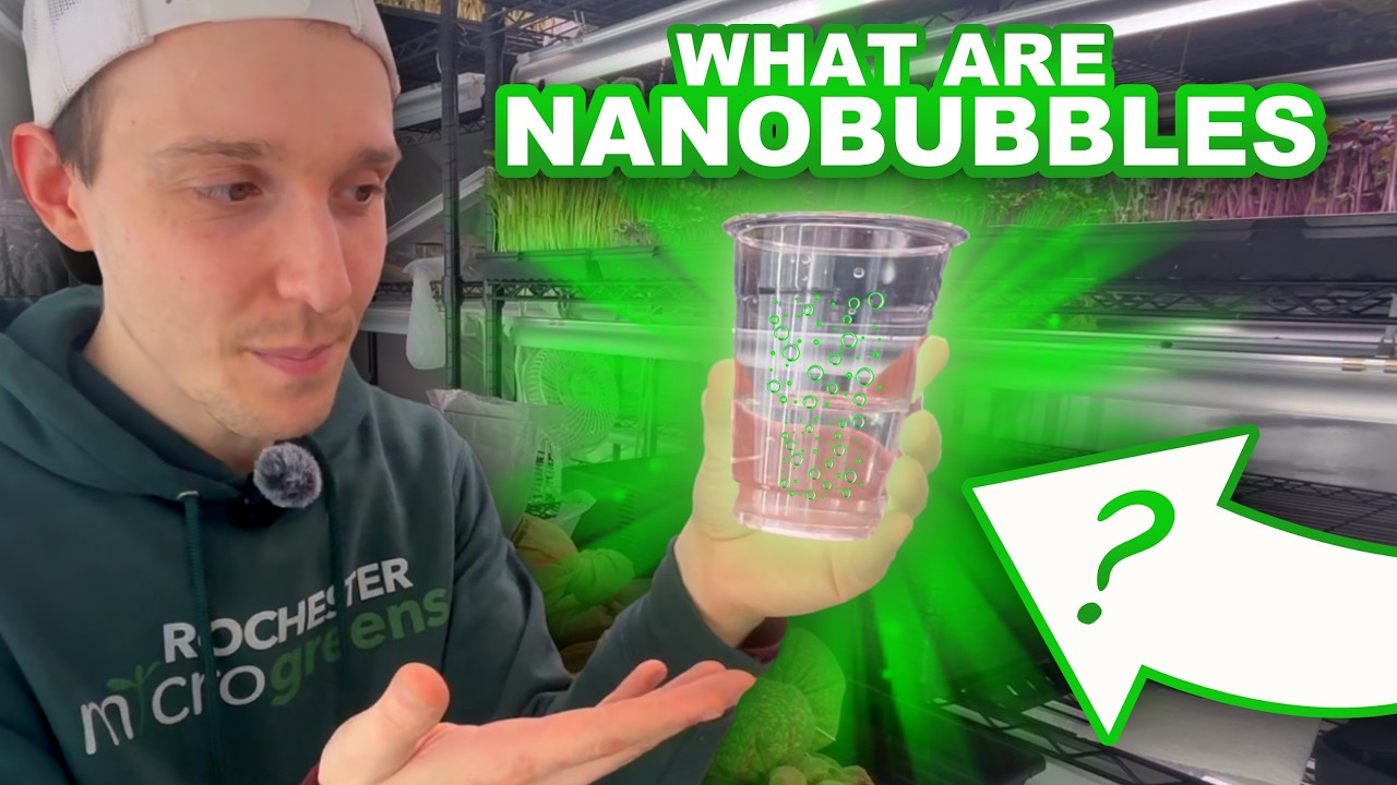 What Are Nanobubbles & How To Use Them In Agriculture!