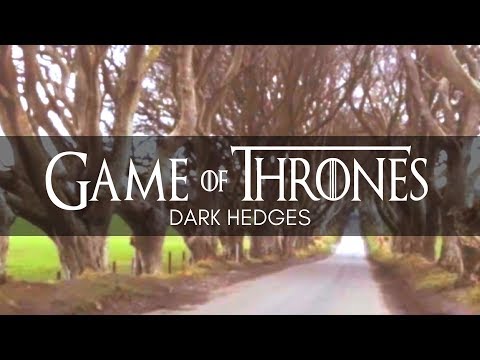 Video: Dark Hedges Van 'Game Of Throne' Verliezen één Boom In Storm