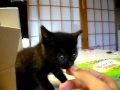 くーちゃん