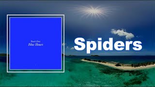 Bear's Den - Spiders  (Lyrics)