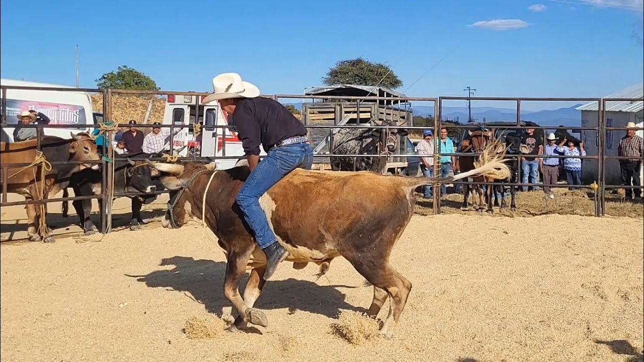 Carnaval Loma Reyes San Juan Mixtepec Juxtlahuaca Oaxaca Mexico región Mixteca 