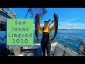 San Juan Islands Lingcod 2020 Recap - SB Sportfishing