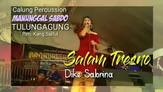 Salam Tresno _ Dike Sabrina (Cover)