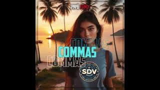 Commas(Papii Remix _2024)Ayra Star x Papii Remix