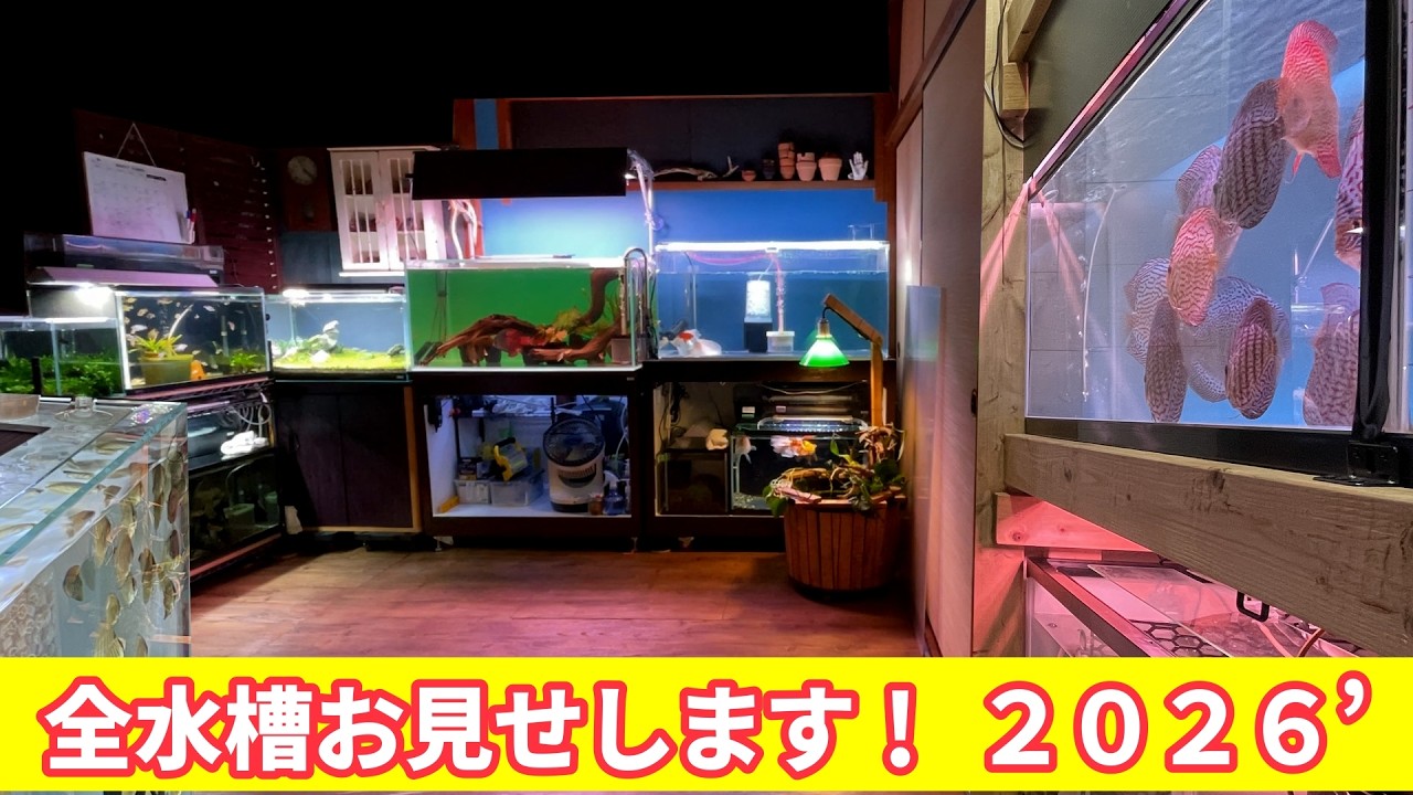 👉【年一恒例「秘蔵水槽全部見せます」　26’バージョン】