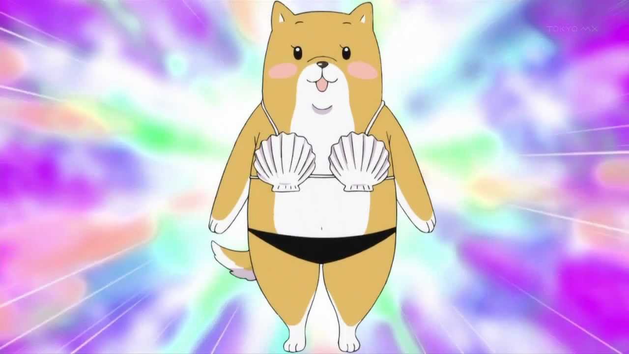 Shiba Nanasei