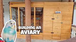 Building an Outdoor Aviary in 6 Days by Denny the Budgie 25,406 views 9 months ago 9 minutes, 57 seconds