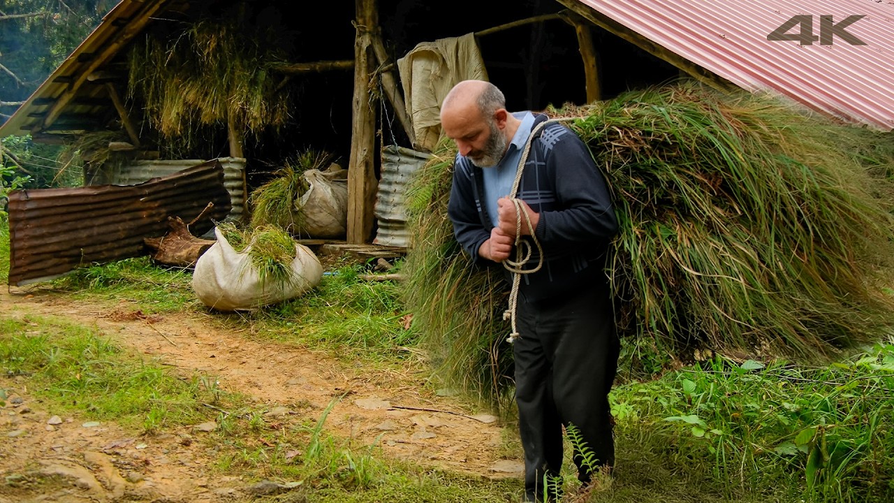Реджеп и Медведи – Одинокая Жизнь в Хуторе | Документальный Фильм