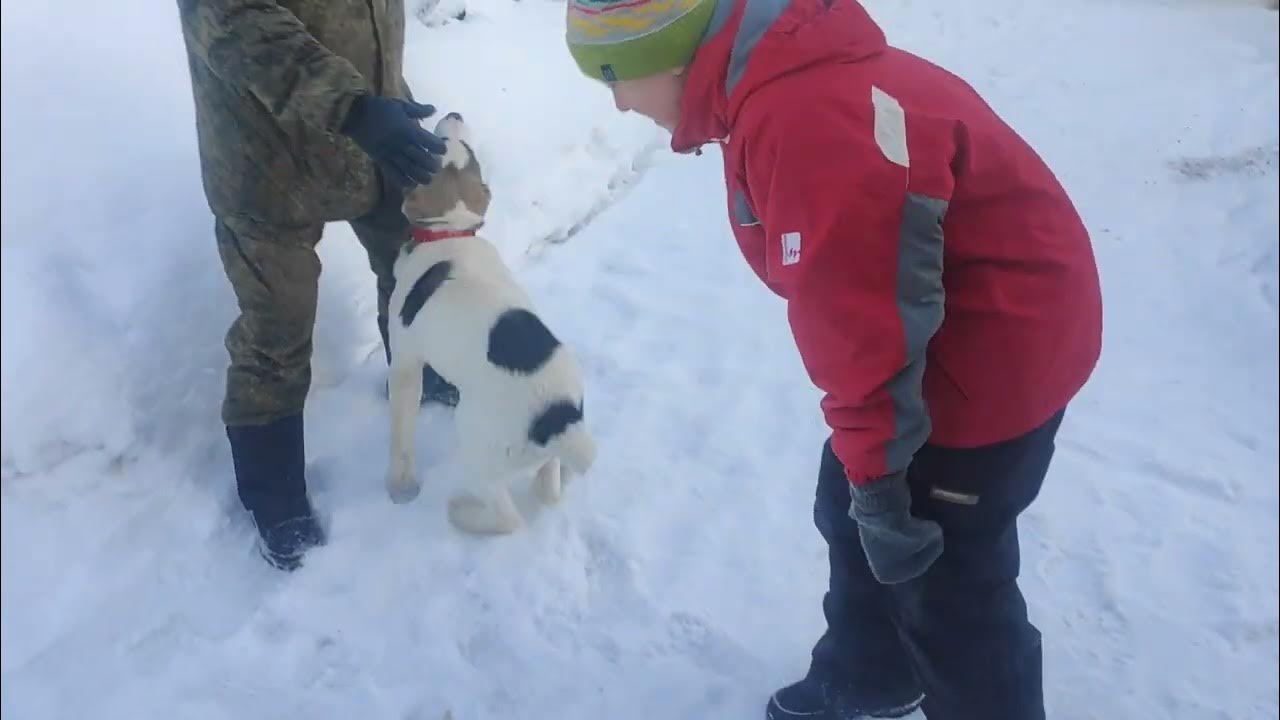 счастья полные штаны - YouTube