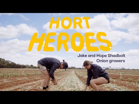 Videó: Aflatun hagyma - hasznos tulajdonságok, felhasználás, termesztés