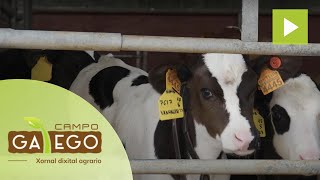 Sat A Campa: Paso a Procross buscando facilidade de traballo