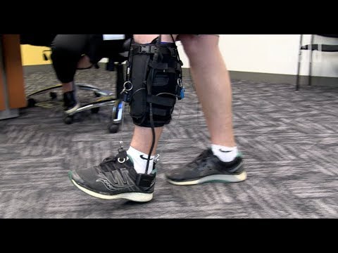 Video: Má chitinózní exoskelet?