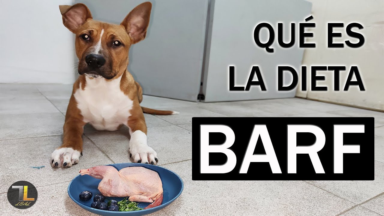 ➡ Dieta BARF para PERROS | Alimentación CRUDA 💚