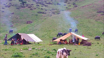 Most Peaceful Relaxing Himalayan Village Lifestyle | Organic shepherd Food | Real Nepali Life |