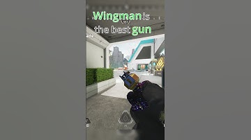 Wingman is the best gun in