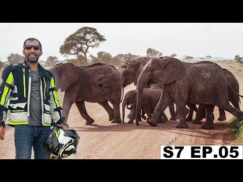 Video: Amboseli National Park: Mwongozo Kamili