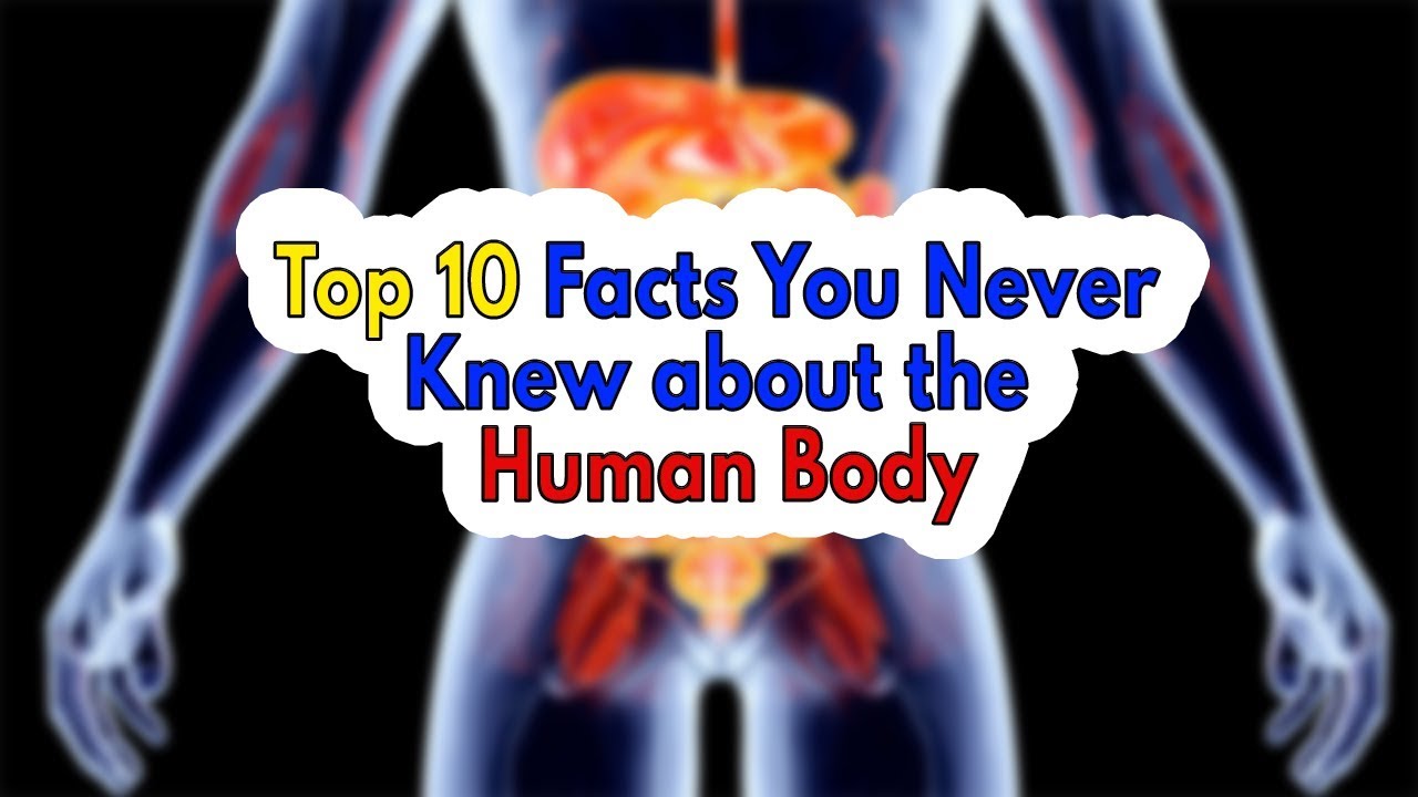Top 10 Facts You Never Knew about the Human Body - YouTube