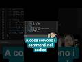 A cosa servono ii COMMENTI in programmazione #coding #p5js #programmazione  #tutorial