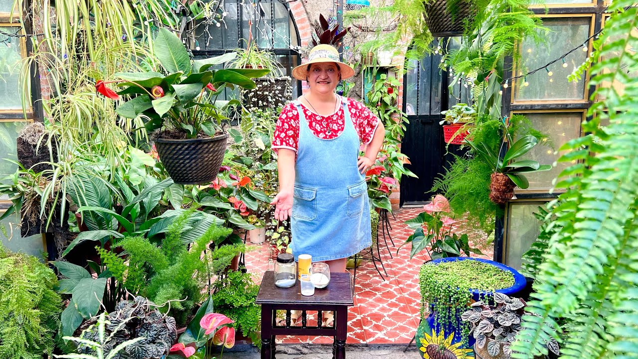 ¿Tienes HORMIGAS, BABOSAS Y CARACOLES? ¡APLICA ESTO! 🐜🐌